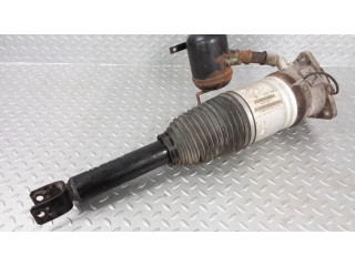 Задний aмортизатор (пневматическое / гидравлическое шасси)