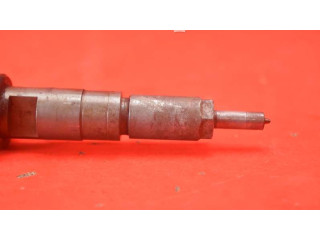 Форсунка 0445110252, 0445110252    Citroen Nemo   