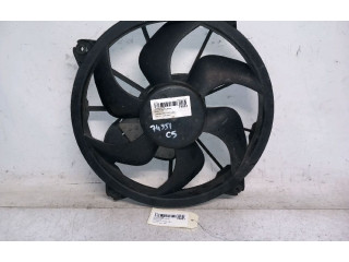 Комплект вентиляторов     1253T2, 1253T2    Citroen C5 