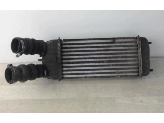 Интеркулер  00000384N1, 00000384N1   Citroen C3 Picasso 