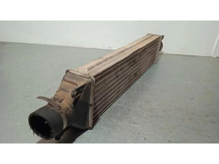 Интеркулер Fiat Grande Punto 1.9