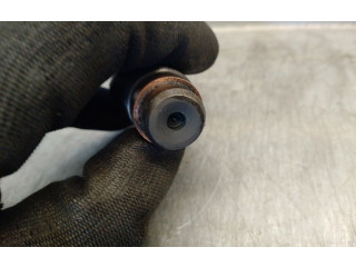 Vstřikovač LCR6736001, LCR6736001 Citroen Berlingo WJZ