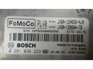 Блок управления двигателя 0281036223, 2313997   Ford Transit -  Tourneo Connect