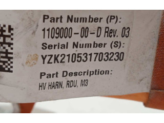 Блок управления 110900000D   Tesla Model S