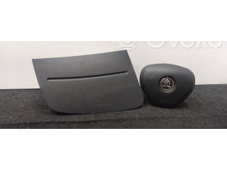 Подушка безопасности водителя 5E0880201, 5J1880202 Skoda Fabia Mk2 (5J)