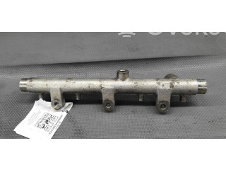 Магистральная трубка топлива 0445010012 Peugeot 206+