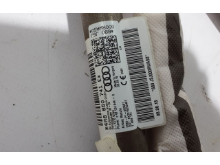 Боковая подушка безопасности 4M8880741E   Audi Q8