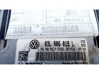 Řídící jednotka 0281016998, 03L906018L Seat Alhambra (Mk2) 2011