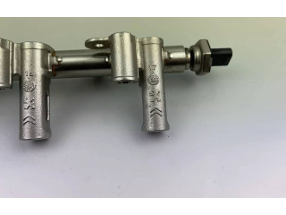 Топливная рампа 9811353880   Peugeot 2008 II  