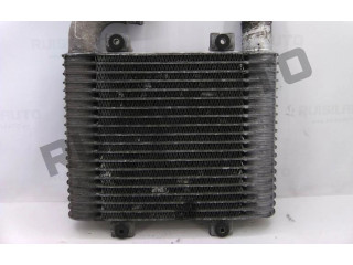 Интеркулер  28190-4261X   KIA Pregio 