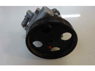 Поршень Насос усилителя руля D8BXUD9TE   Peugeot Expert  