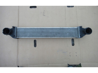 Интеркулер A1695000000 Mercedes-Benz A W169