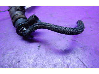 Жиклер (жиклеры) (форсунка (форсунки) 0445110252, 0445110252 Mercedes-Benz E C207 W207 2006