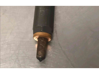 Форсунка 166000897R    Renault Clio III   