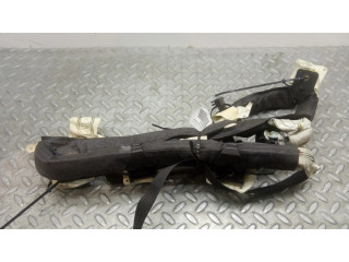 Боковая подушка безопасности 517550860, 34019364B Fiat Linea