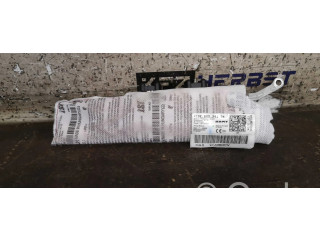 Подушка безопасности в сиденье 10E880241D   Cupra Born