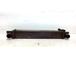 Интеркулер     Citroen Nemo 