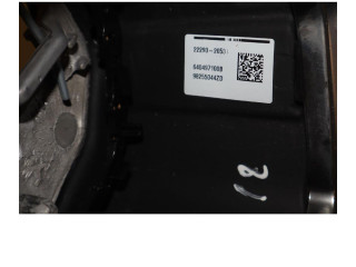 Руль 98255044ZD Peugeot 2008 II