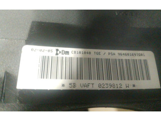 Подушка безопасности двери 96460169TG01 Citroen Berlingo