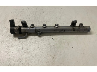 Vstřikovací lišta A6420702495, A6110780449 Mercedes-Benz S W221