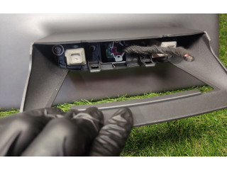 Дисплей    108954300I, 1089543   Tesla Model 3