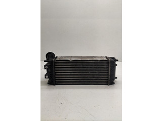 Интеркулер 00000384N9 Citroen C4 II