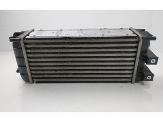 Интеркулер  9684212480, M144105C   Peugeot 5008 