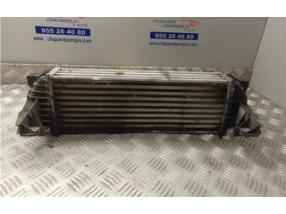 Интеркулер Ford Transit - Tourneo Connect