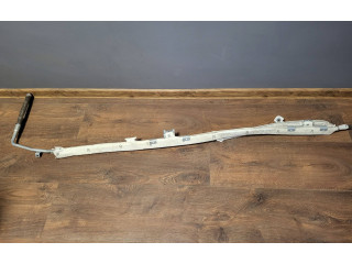 Боковая подушка безопасности 1Z9880742B, BAMPT11215   Skoda Octavia Mk2 (1Z)