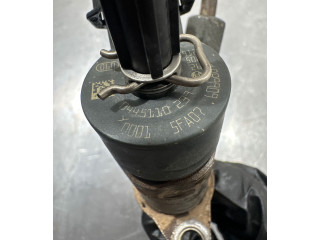 Форсунка 0445110239 Citroen Berlingo