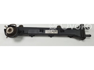 Топливная рампа 0003096V005   Smart ForTwo I  