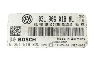 Řídící jednotka 03L906018NL, 0281018025   Volkswagen Caddy 2011