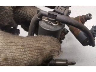 Vstřikovač 0445110076, 9641742880   Peugeot 307     