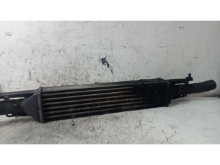Интеркулер  INTERCOOLER   Fiat Punto (199) 1.2