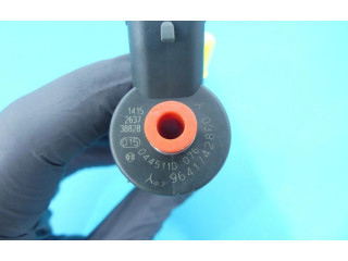 Жиклер (жиклеры) (форсунка (форсунки) 0445110076, IMPRK1184458   Citroen Xsara Picasso