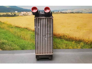 Интеркулер 9800291280, IA2077 Citroen Berlingo 1.6