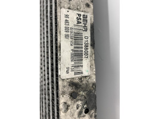 Интеркулер Citroen C5