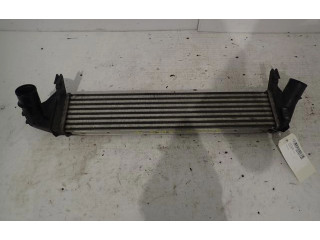 Интеркулер 8200409045 Dacia Sandero