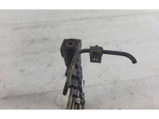 Топливная рампа 9654590, 651000072 Citroen C4 Grand Picasso