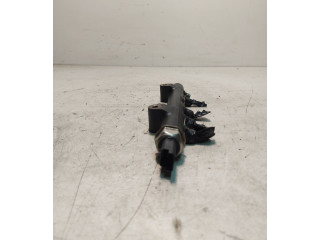 Топливная рампа 9684753080, 94675G01 Citroen C4 Grand Picasso