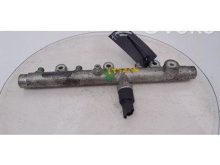 Топливная рампа 194216 Citroen Xsara