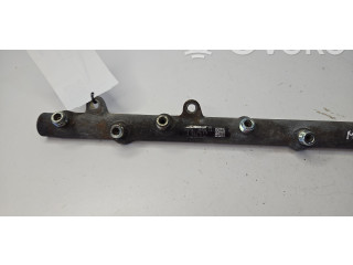 Топливная рампа 7795514   BMW 3 E90 E91   для двигателя M57