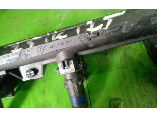 Топливная рампа 036133320 Skoda Fabia Mk1 (6Y)