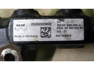 Vstřikovací lišta 9654590, VD3604 Citroen C3 Picasso