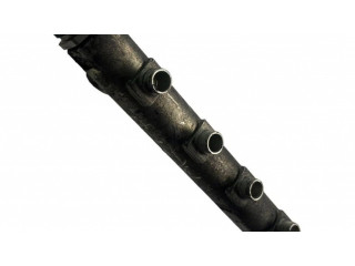 Топливная рампа 0445214174, 081009010499L Chevrolet Captiva 2.0