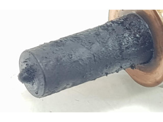 Форсунка 8599209, 13538599209    BMW X3 G01   