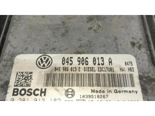 Řídící jednotka 045906013A, 0281013182   Skoda Praktik (5J8) 2008