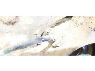 Передний датчик тормозов ABS