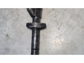 Форсунка 0445110141, 8200146357    Renault Master II для дизельного двигателя  2.5