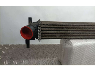 Интеркулер  6R014   Skoda Fabia Mk2 (5J) 